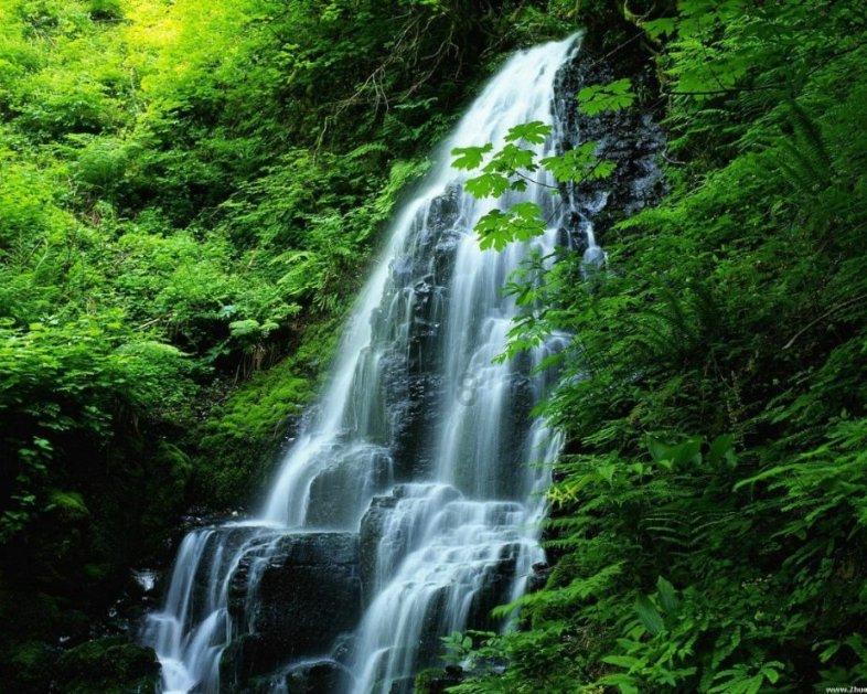快刺水果