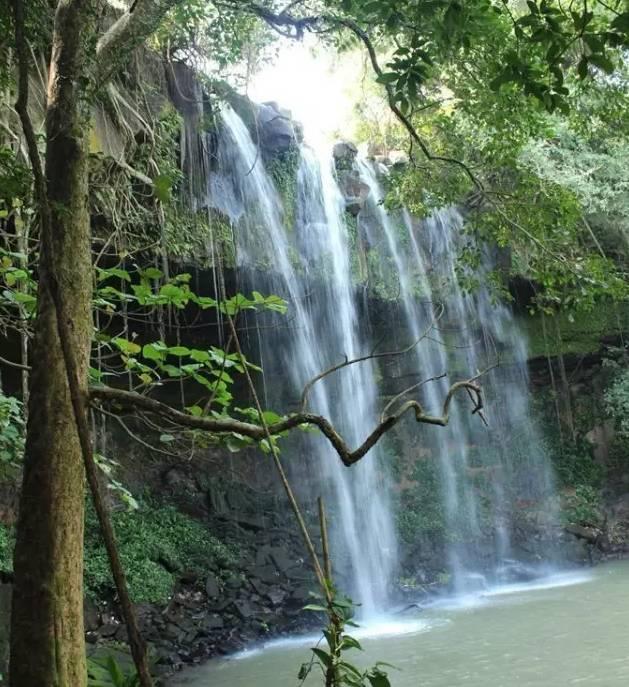 “豪门弃妇”梁洛施,为李泽楷连生三子,如今坦言并不后悔