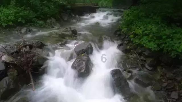厉害了我的巧虎6